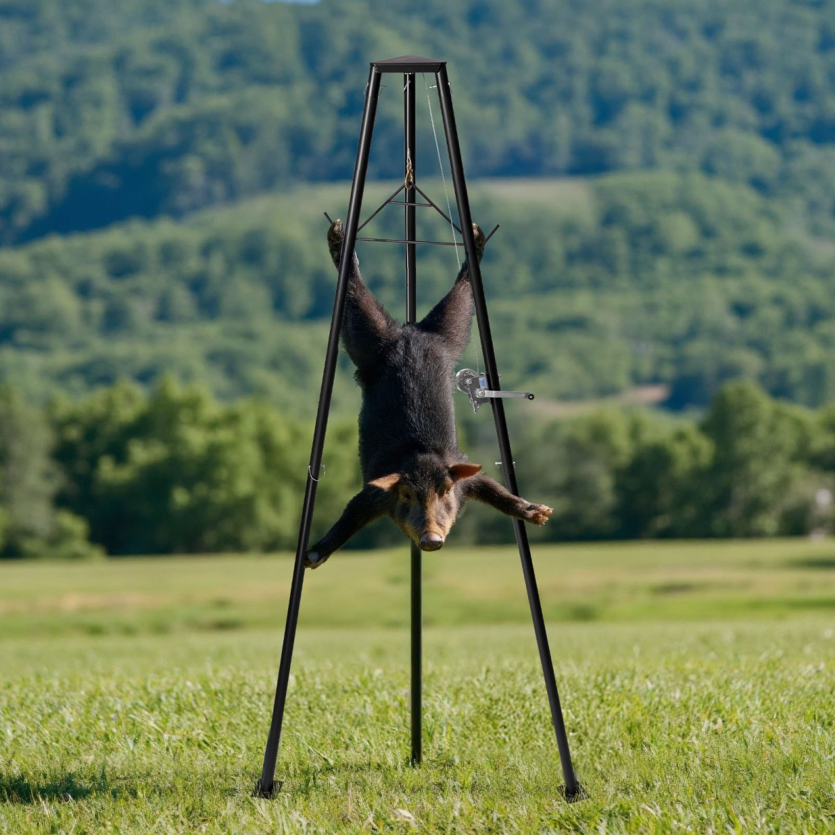 VEVOR Tripod Deer Hoist, χωρητικότητα φόρτωσης 500 lbs, ανυψωτικό βαρούλκο κυνηγιού κυνηγιού με βαρούλκο και χειροκίνητο βαρούλκο, αξεσουάρ καθαρισμού και καθαρισμού κυνηγιού κυνηγιού για καθαρισμό, απολέπιση και κίνηση, μαύρο