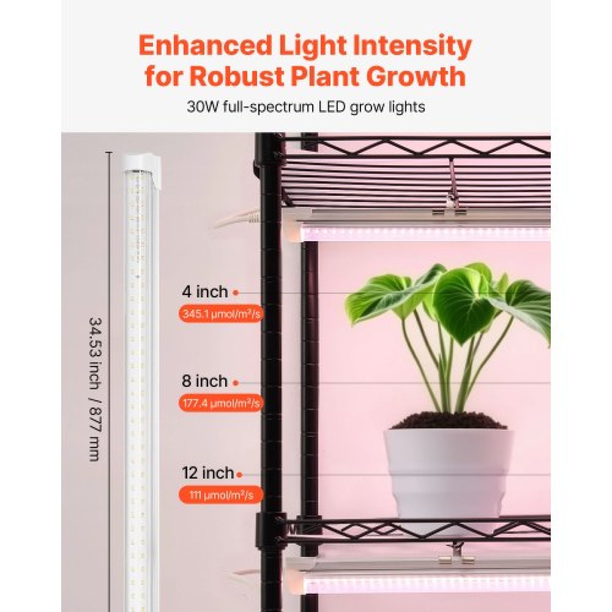 Ράφι φυτών VEVOR με Grow Light, Βάση φυτών εσωτερικού χώρου 6 επιπέδων, ράφι προβολής φυτών εσωτερικού χώρου ύψους 180 cm με ρόδες και χρονοδιακόπτη, φώτα ανάπτυξης πλήρους φάσματος 150W 3800K, Μεταλλική βάση λουλουδιών για εκκίνηση σπόρων