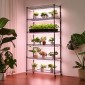 Ράφι φυτών VEVOR με Grow Light, Βάση φυτών εσωτερικού χώρου 6 επιπέδων, ράφι προβολής φυτών εσωτερικού χώρου ύψους 180 cm με ρόδες και χρονοδιακόπτη, φώτα ανάπτυξης πλήρους φάσματος 150W 3800K, Μεταλλική βάση λουλουδιών για εκκίνηση σπόρων