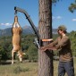 Ανυψωτικό ελαφιού VEVOR Tree Mounted Deer, χωρητικότητα φόρτωσης 353 lbs, ανυψωτικό βαρούλκο κυνηγιού κυνηγιού με ιμάντα καστάνιας, κρεμάστρα ελαφιού βαρέως τύπου για ξεφλούδισμα, καθαρισμό, τροφή για κρέμασμα και ντύσιμο αγρού, μαύρο