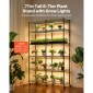 Ράφι φυτών VEVOR με Grow Light, Βάση φυτών διπλής σειράς 6 επιπέδων, ράφι επίδειξης φυτών εσωτερικού χώρου ύψους 180 cm με ρόδες και χρονοδιακόπτη, φώτα πλήρους φάσματος 200 W, μεταλλική βάση λουλουδιών για εκκίνηση σπόρων