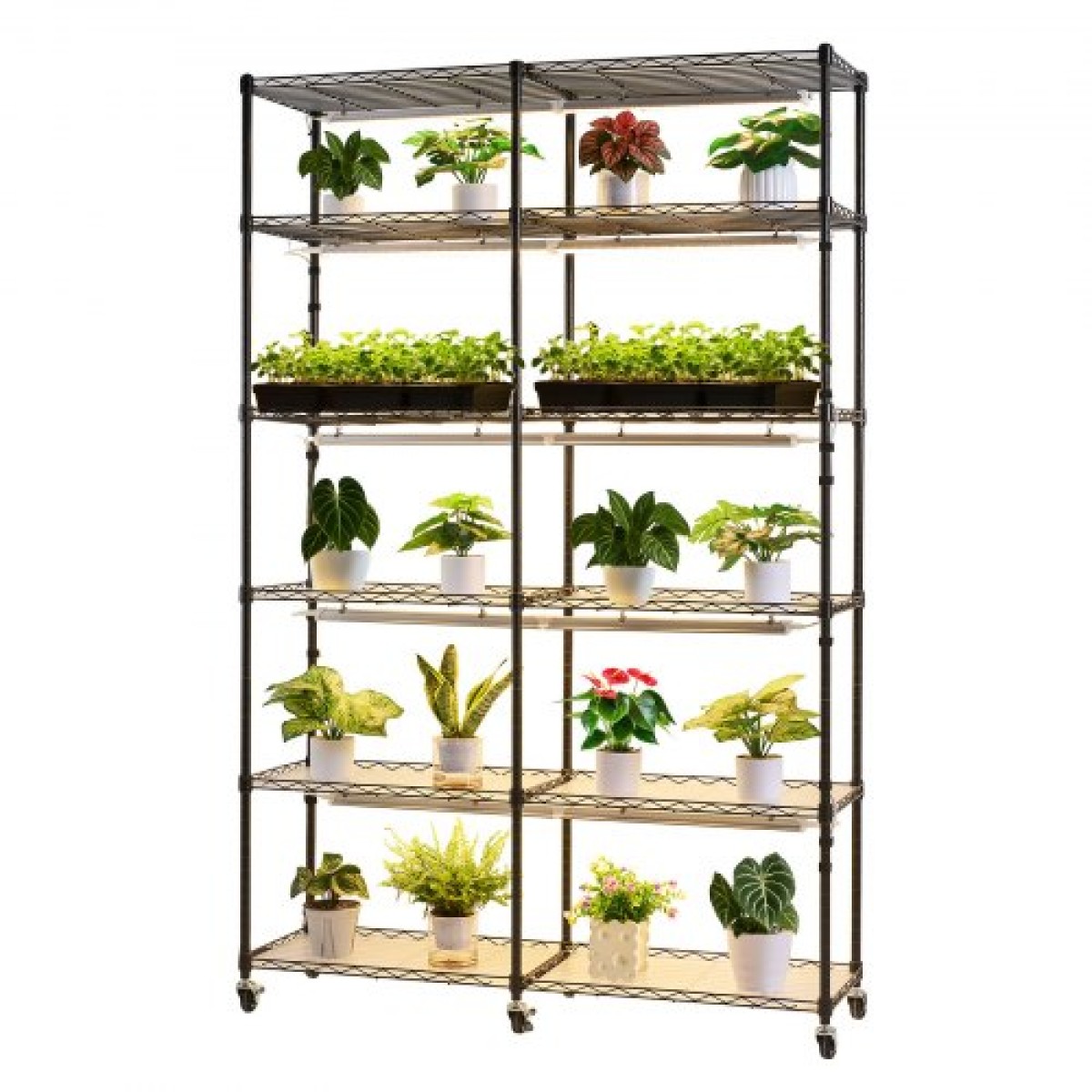 Ράφι φυτών VEVOR με Grow Light, Βάση φυτών διπλής σειράς 6 επιπέδων, ράφι επίδειξης φυτών εσωτερικού χώρου ύψους 180 cm με ρόδες και χρονοδιακόπτη, φώτα πλήρους φάσματος 200 W, μεταλλική βάση λουλουδιών για εκκίνηση σπόρων