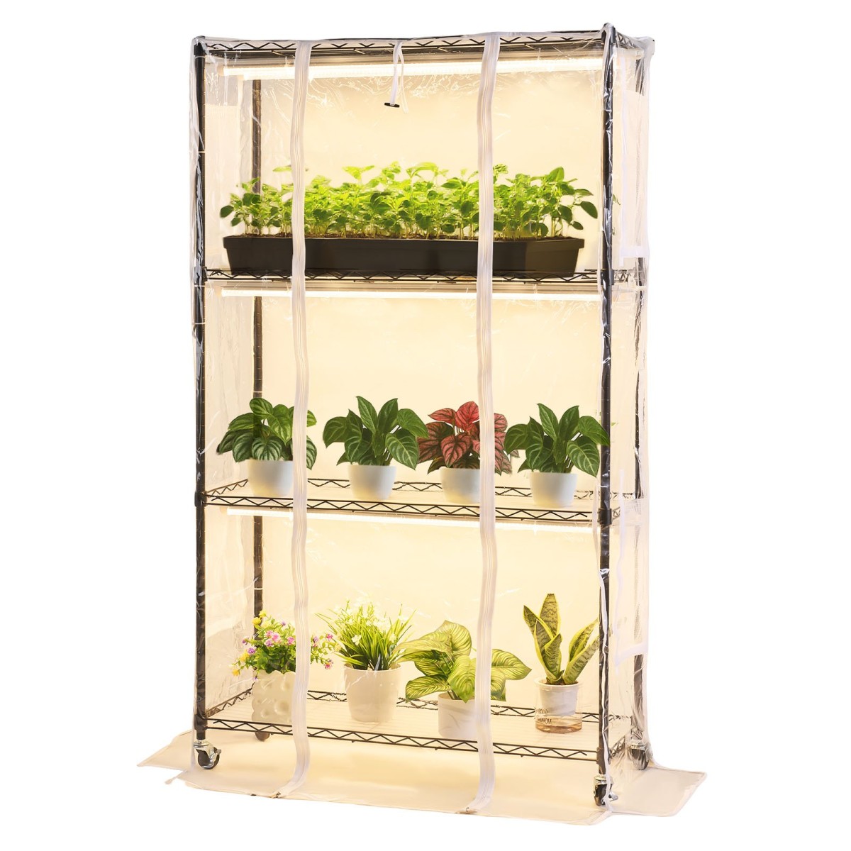 Θερμοκήπιο εσωτερικού χώρου VEVOR με Grow Light, Βάση φυτών 4 επιπέδων ύψους 150 cm με διαφανές κάλυμμα, χρονοδιακόπτη & υγρόμετρο, φώτα ανάπτυξης πλήρους φάσματος 180W, θήκη ραφιών για φυτά εσωτερικού χώρου με μεταλλικό φωτισμό