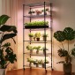 Ράφι φυτών VEVOR με Grow Light, Βάση φυτών εσωτερικού χώρου 6 επιπέδων, ράφι προβολής φυτών ύψους 180 cm με ρόδες & χρονοδιακόπτη 4/9/14 ωρών, φώτα ανάπτυξης πλήρους φάσματος 150 W 3 χρωμάτων, θήκη για γλάστρα για σπόρους