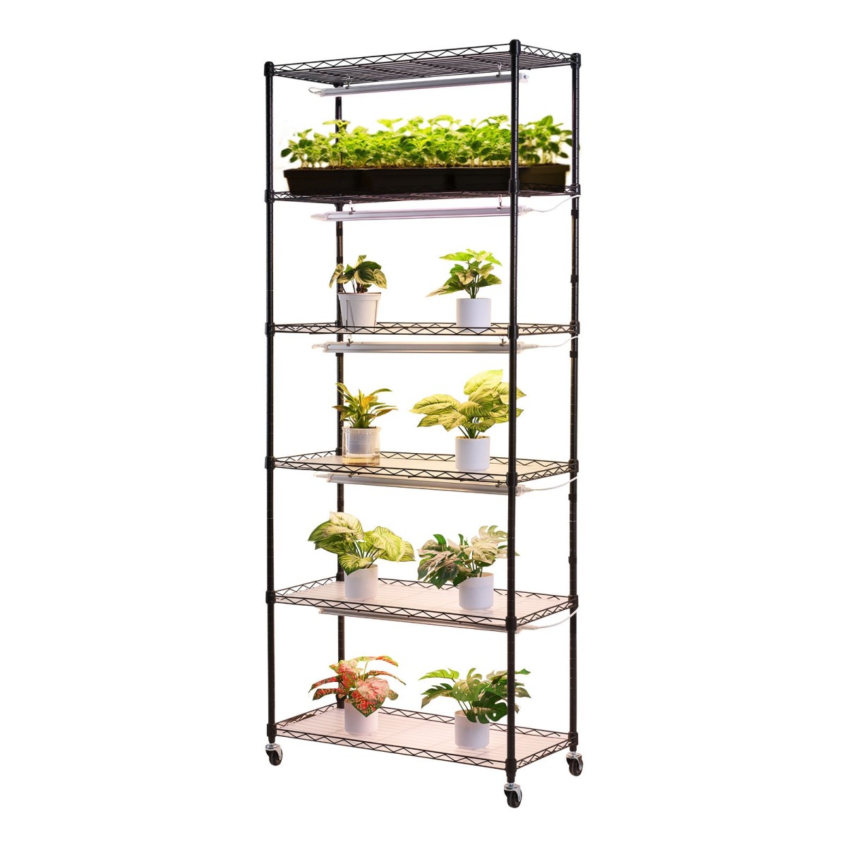 Ράφι φυτών VEVOR με Grow Light, Βάση φυτών εσωτερικού χώρου 6 επιπέδων, ράφι προβολής φυτών ύψους 180 cm με ρόδες & χρονοδιακόπτη 4/9/14 ωρών, φώτα ανάπτυξης πλήρους φάσματος 150 W 3 χρωμάτων, θήκη για γλάστρα για σπόρους