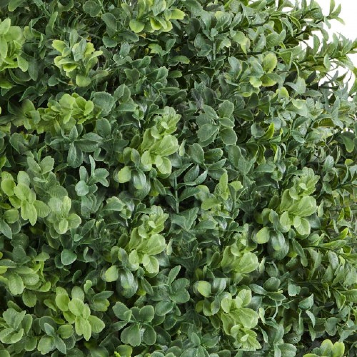 VEVOR Artificial Topiary Boxwood Trees with Ground Spike, 2 Set 559mm faux θάμνοι & θάμνοι φυτά σε γλάστρες, Fake Silk Tree Look Real for Decor Μπροστινή βεράντα Εσωτερική βεράντα Εσωτερική βεράντα Κήπος Μπαλκόνι Πίσω αυλή