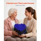 VEVOR Forever Flowers, 27 διατηρημένα τριαντάφυλλα σε κουτί σε σχήμα καρδιάς, Αιώνια λουλούδια Αθάνατη ανθοδέσμη Δώρο γενεθλίων για γυναίκες Μητέρες της γυναίκας της, επέτειος, ημέρα του Αγίου Βαλεντίνου, Χριστούγεννα, Βασιλικό Μπλε