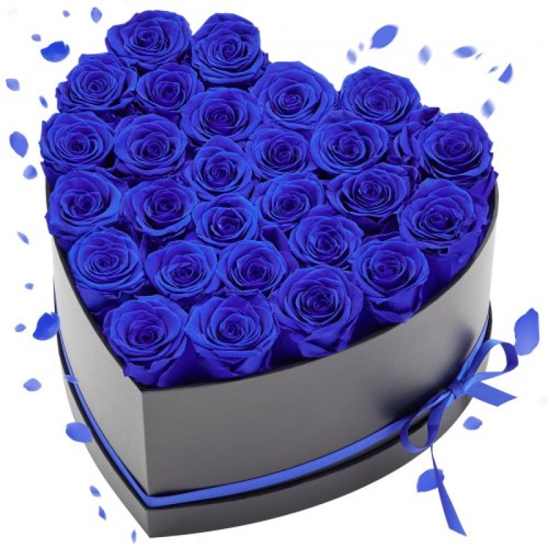 VEVOR Forever Flowers, 27 διατηρημένα τριαντάφυλλα σε κουτί σε σχήμα καρδιάς, Αιώνια λουλούδια Αθάνατη ανθοδέσμη Δώρο γενεθλίων για γυναίκες Μητέρες της γυναίκας της, επέτειος, ημέρα του Αγίου Βαλεντίνου, Χριστούγεννα, Βασιλικό Μπλε