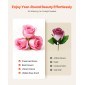 VEVOR Forever Flowers, 50 Conserved Roses in a Box, Eternal Flowers Immortal Bouquet Δώρο γενεθλίων για παράδοση Prime Women Her Wife Mothers, Επέτειος, Ημέρα του Αγίου Βαλεντίνου, Χριστούγεννα, Γλυκό ροζ
