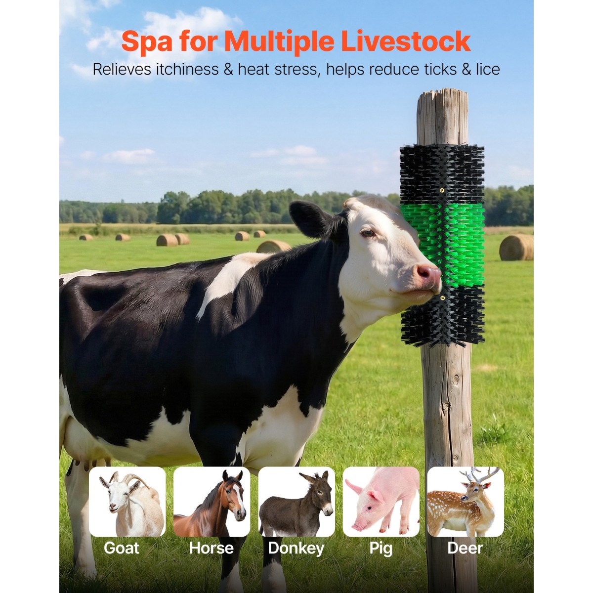VEVOR Livestock Scratching Brush, 1PC Goat Scratcher Brush Post με 4 βίδες, 430 x 190 mm Ξυστό αγελάδας για ανακούφιση από τον κνησμό στην πλάτη, Εργαλείο γρατσουνιάς μασάζ περιποίησης για πρόβατα χοιρινά βοοειδή αλόγων, Πράσινο & Μαύρο