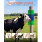 VEVOR Livestock Scratching Brush, 1PC Goat Scratcher Brush Post with 4 Screws, 430 x 190 mm Cow Scratcher for Back Itch Relief, Massage Grooming Scratch Tool for Horse Cattle Sheep Pig, Πράσινο & Μπλε