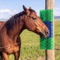 VEVOR Livestock Scratching Brush, 1PC Goat Scratcher Brush Post with 4 Screws, 430 x 190 mm Cow Scratcher for Back Itch Relief, Massage Grooming Scratch Tool for Horse Cattle Sheep Pig, Πράσινο & Μπλε