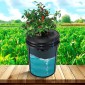 VEVOR DWC Hydroponics Grow System, Hydroponic Growing System, Deep Water Culture 5-Gallon 8 Buckets, DWC System with Air Pump, Air Stones και Water Level Device for Leafy Lagetables