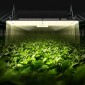 VEVOR LED Grow Light, 150W Full Spectrum Dimmable, High-Yield Samsung 2B1B Diodes Growing Lamp for Indoor Plants Seedling Veg and Bloom Greenhouse Growing, Daisy Chain Driver for 91,4 x 91,4 cm Grow Tent