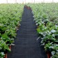 VEVOR 200 x 9144 cm Premium Weed Barrier Fabric Heavy Duty 90,7 g, Υφαντό ύφασμα ελέγχου ζιζανίων, Υψηλή διαπερατότητα καλό για παρτέρι, ύφασμα γεωύφασμα για το υπόστρωμα, κάλυμμα εδάφους από πολυαιθυλένιο