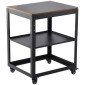 VEVOR Planer Stand, 100 lbs/ 45 kg heavy loads, Three-Gear Height Adjustable thickness planer table,with 4 Stable Casters & Storage Space, for most planers, saws, bench-top machines, power tools