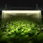 VEVOR LED Grow Light, 300W πλήρους φάσματος με δυνατότητα ρύθμισης φωτισμού, υψηλής απόδοσης Samsung 2B1B Diodes Growing Lamp for Indoor Plants Seedling Veg and Bloom Greenhouse Growing, Daisy Chain Driver for 91,4 x 91,4 / 121,9 x 121,9 cm Grow Tent