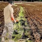 Ανιχνευτής μετάλλων VEVOR για ενήλικες και παιδιά, 20,3 cm αδιάβροχο πηνίο αναζήτησης με οθόνη δείκτη υψηλής ακρίβειας, ρυθμιζόμενο 96,5 cm - 124,5 cm ανιχνευτής χρυσού, ελαφρύ στέλεχος αλουμινίου για ανίχνευση χρυσού θησαυρού