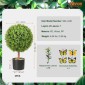 VEVOR Artificial Topiaries Πυξάρι, ύψους 24 ιντσών (2 τεμάχια), Φυτό σε σχήμα μπάλας Faux Topiaries με ζαρντινιέρες, Πράσινο φυτό Feaux με Αντικαταστάσιμα φύλλα & Λιμάνι για Διακοσμητικούς εσωτερικούς/Εξωτερικούς χώρους/Κήπο