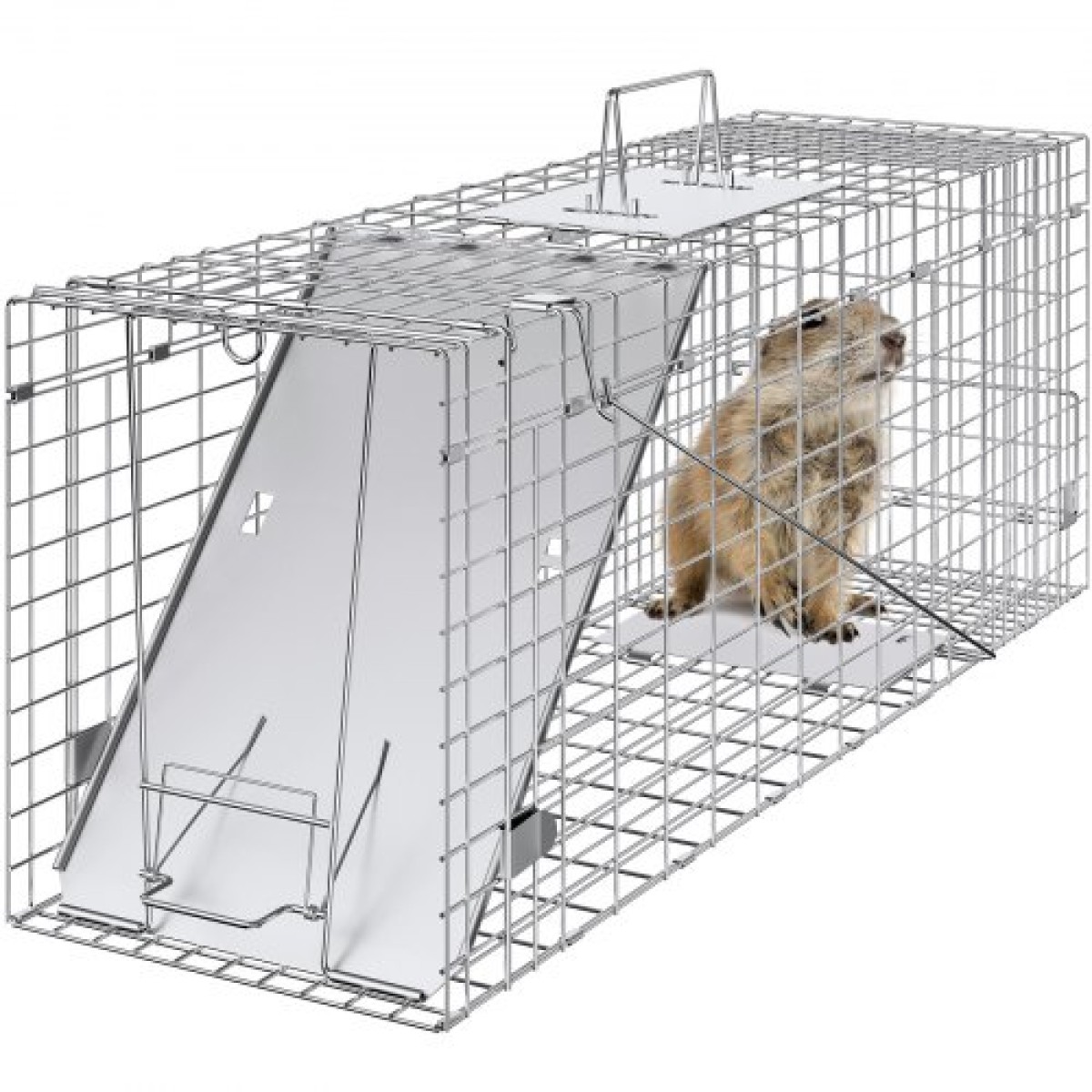 VEVOR Live Animal Cage Trap, 79 x 25 x 30,5 cm Humane Cat Trap Γαλβανισμένο Σίδερο, Πτυσσόμενη Παγίδα Ζώων με Λαβή για κουνέλια, αδέσποτες γάτες, σκίουρους, ρακούν, αγριόχοιρους και οπόσουμ