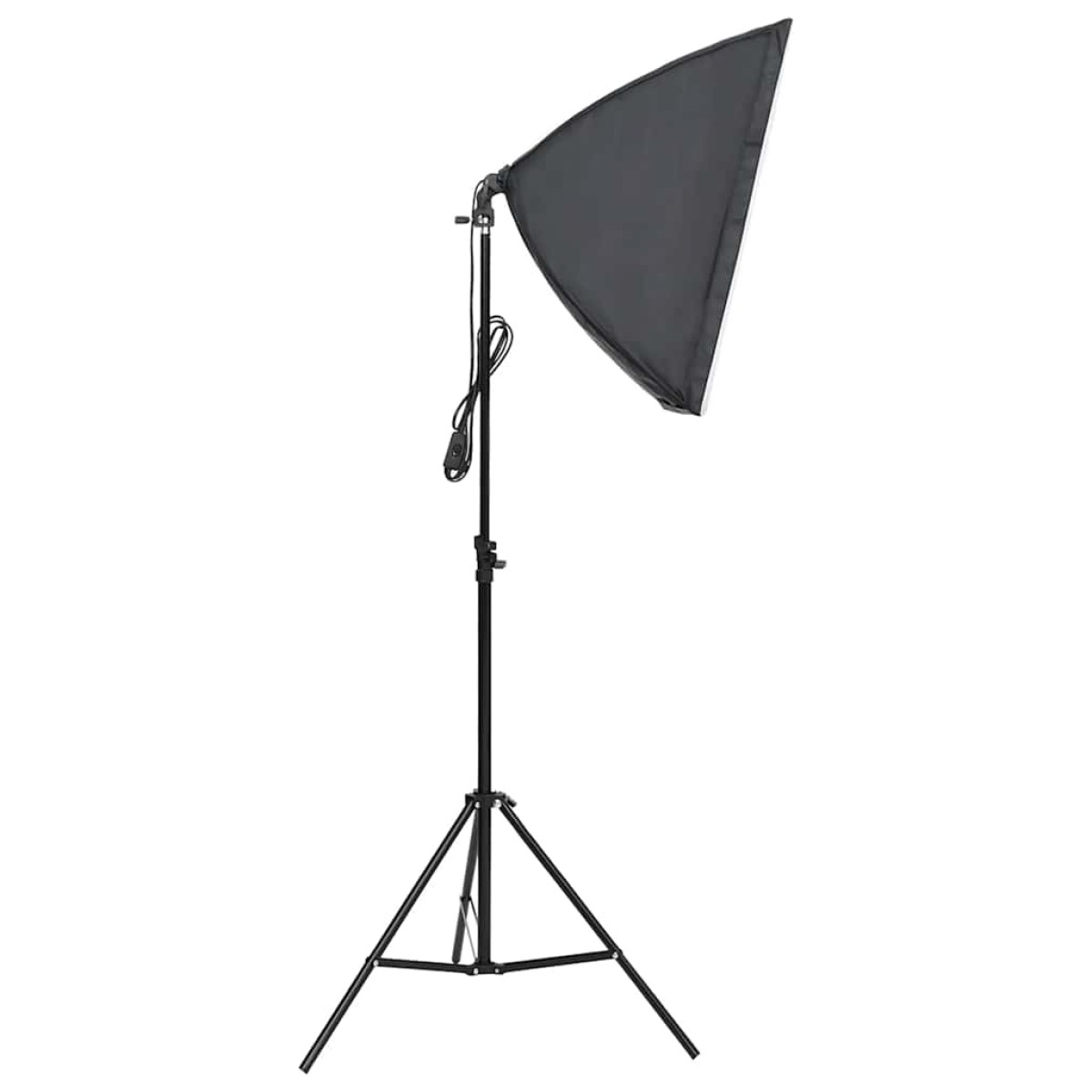 vidaXL Φωτιστικά Studio Επαγγελματικά 2 τεμ. 40 x 60 εκ.