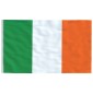vidaXL Ιρλανδική Σημαία και Ιστός 5,55 μ. από Αλουμίνιο