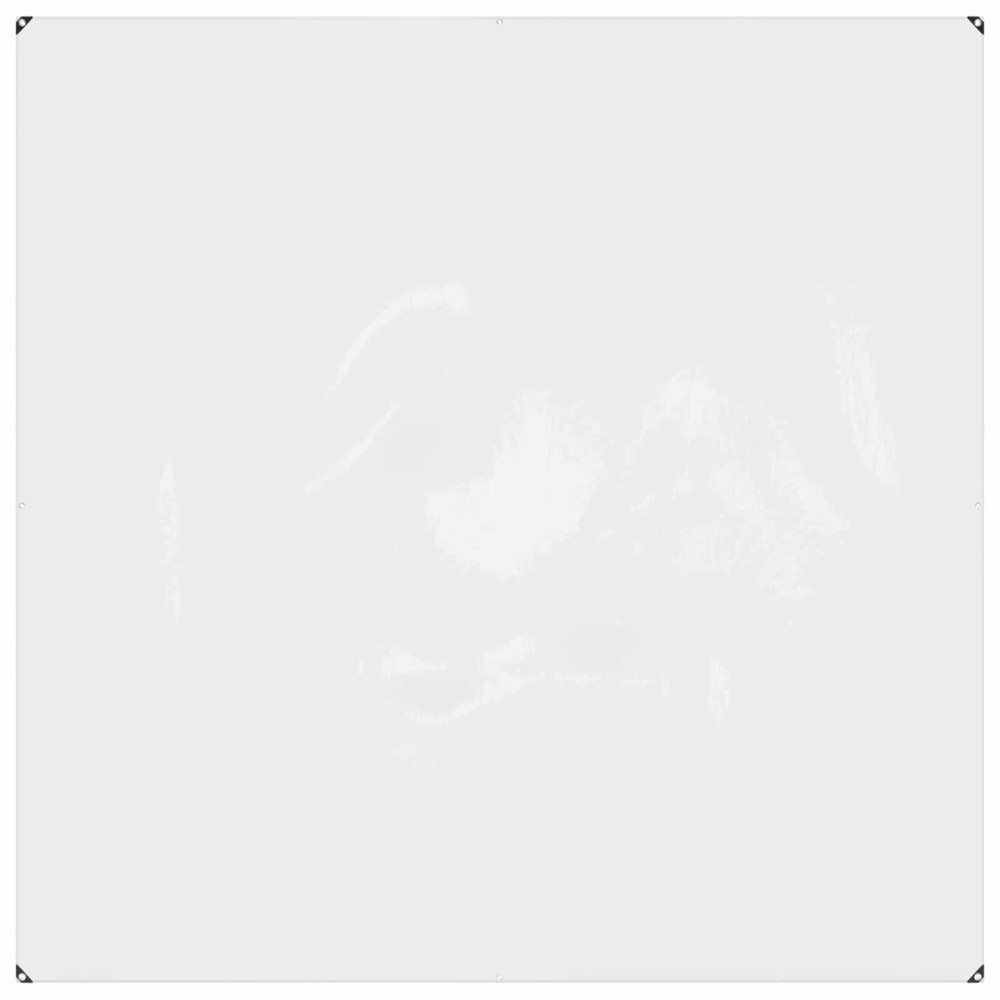 vidaXL Τarpuline Διαφανές 2 x 2 m PVC