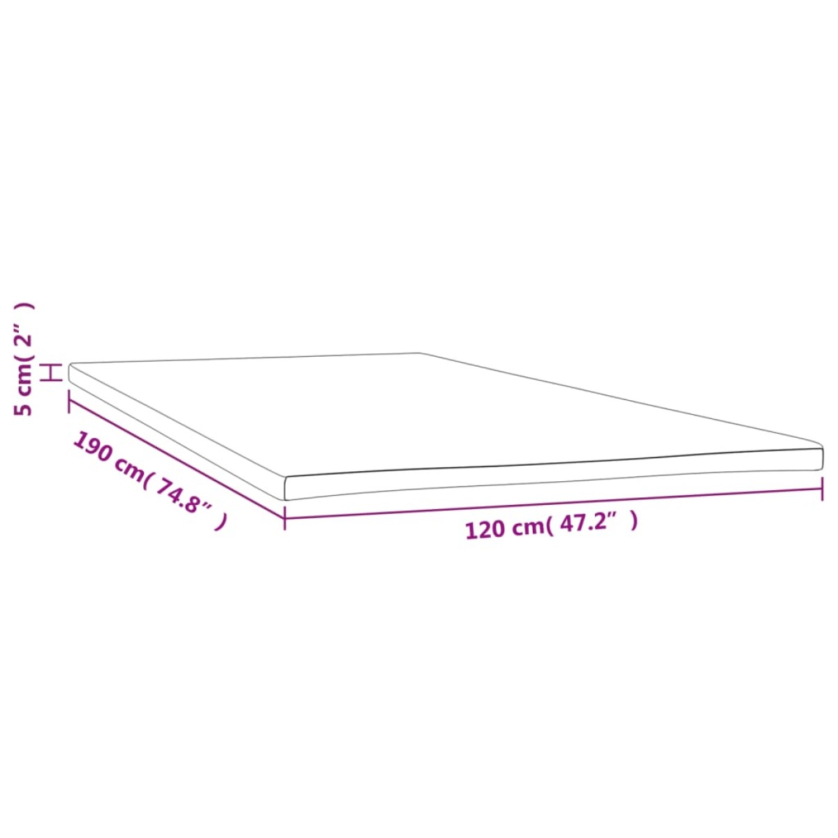 vidaXL Ανώστρωμα 120x190x5 εκ.