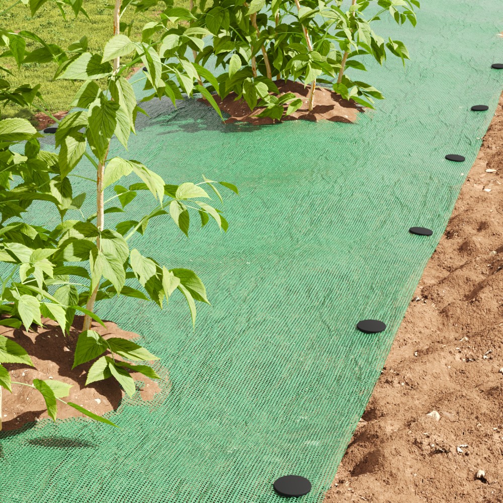 vidaXL Παλούκια εδάφους 500 pcs Μαύρο Ø3 x 11 εκ Πλαστικό