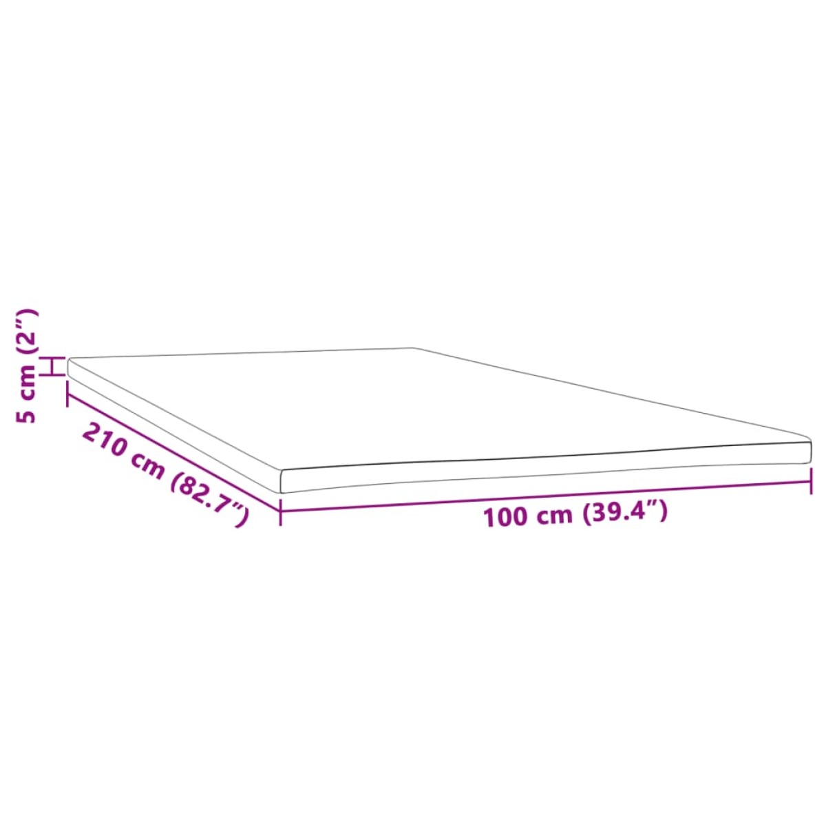 vidaXL Ανώστρωμα 100x210x5 εκ.