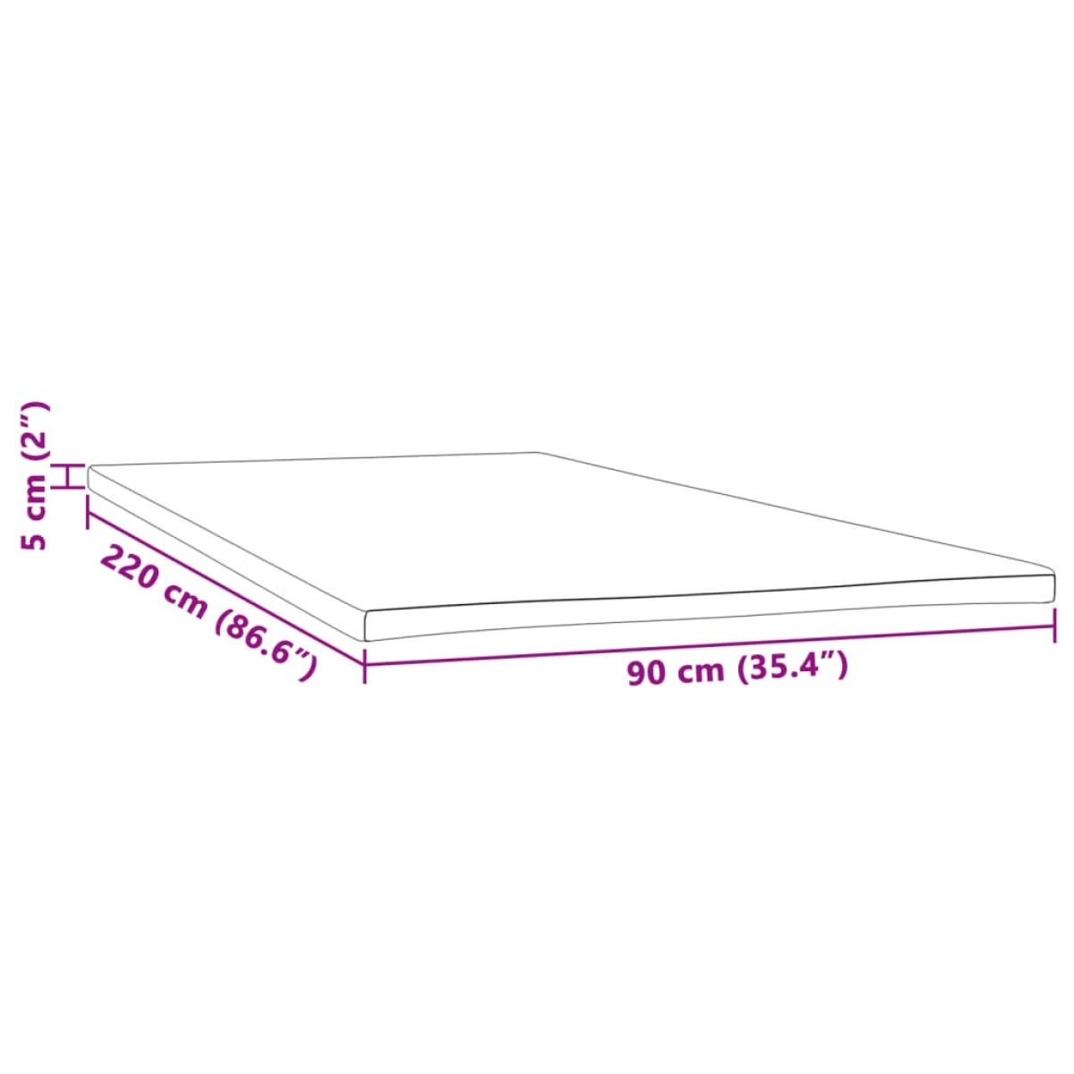 vidaXL Ανώστρωμα 90x220x5 εκ.