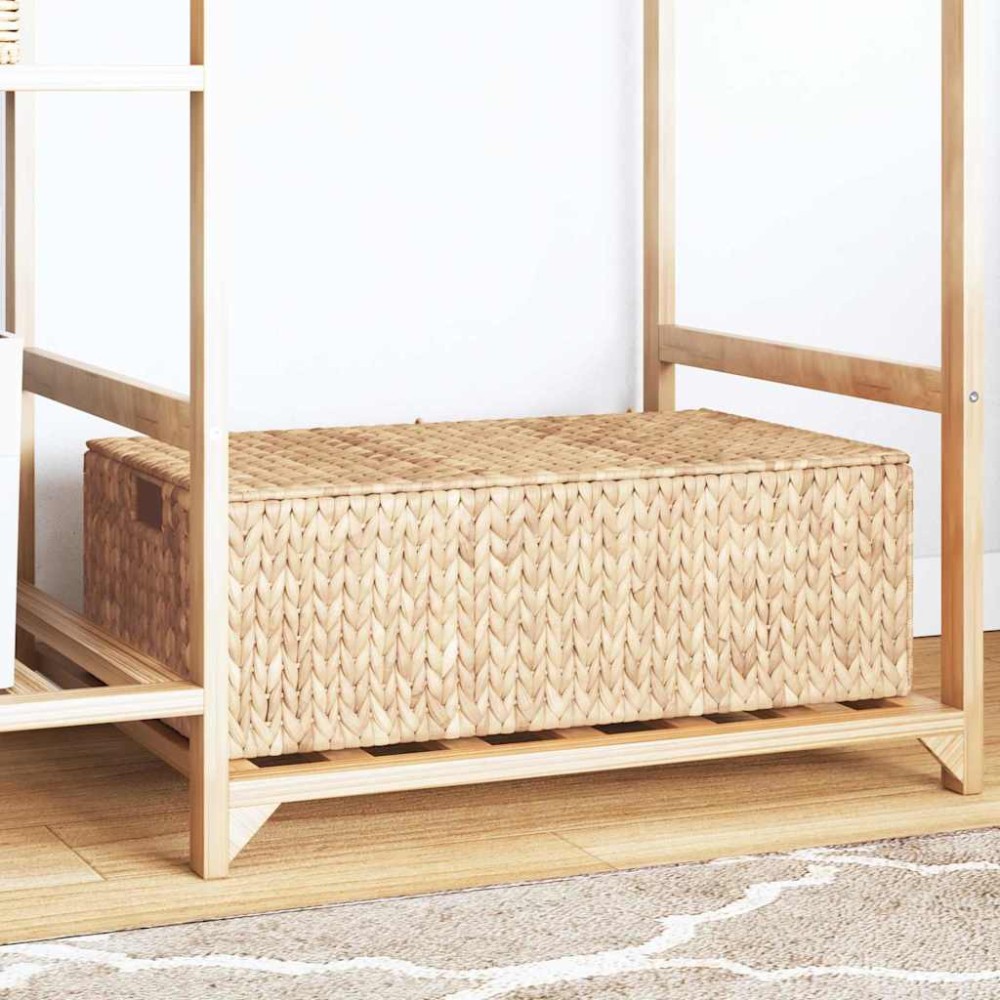 vidaXL Κουτί αποθήκευσης Φυσικό 60 x 38 x 20 εκ Υάκινθος νερού