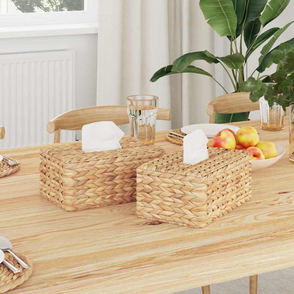 vidaXL Καλύμματα Κουτιού Χαρτοπετστών 2 pcs Υάκινθος νερού Φυσικό