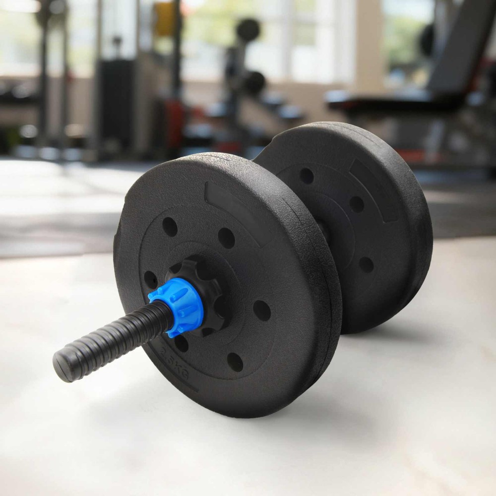 vidaXL Πλάκες Βαρών 10 κιλά 4 pcs 10κιλά Μαύρο