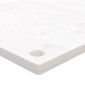vidaXL Επιφάνεια Γραφείου Λευκή 100x60x2,5 εκ. από Μασίφ Ξύλο Πεύκου
