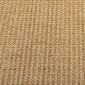 vidaXL Χαλί 100 x 200 εκ. από Φυσικό Σιζάλ