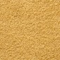 vidaXL Πετσέτες Ξενώνα Premium SOLUND 10 τεμ. Χρυσές 30x50 εκ. 600 γρ./τ.μ.