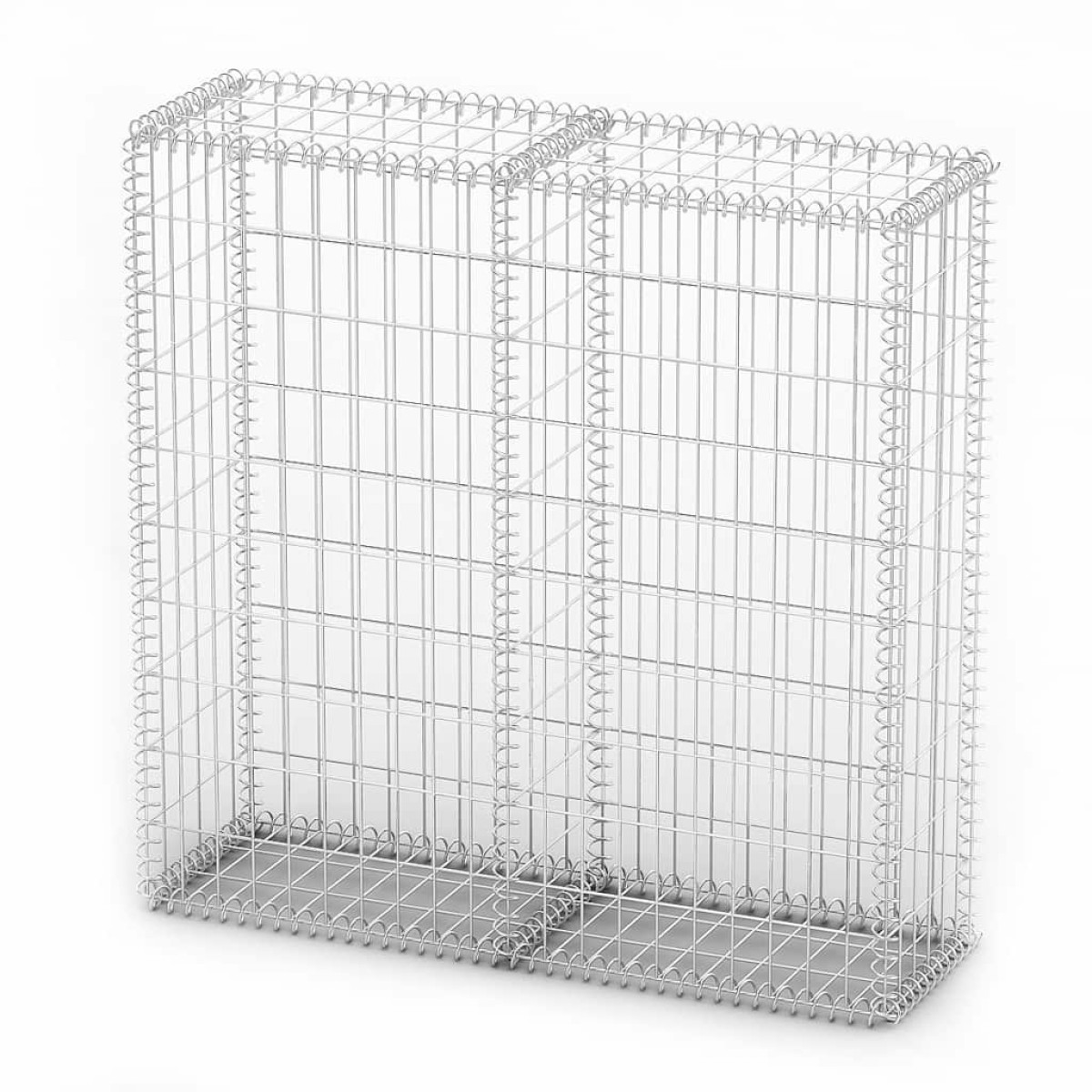 vidaXL Συρματοκιβώτιο 100 x 100 x 30 εκ. Γαλβανισμένο Σύρμα με Καπάκια