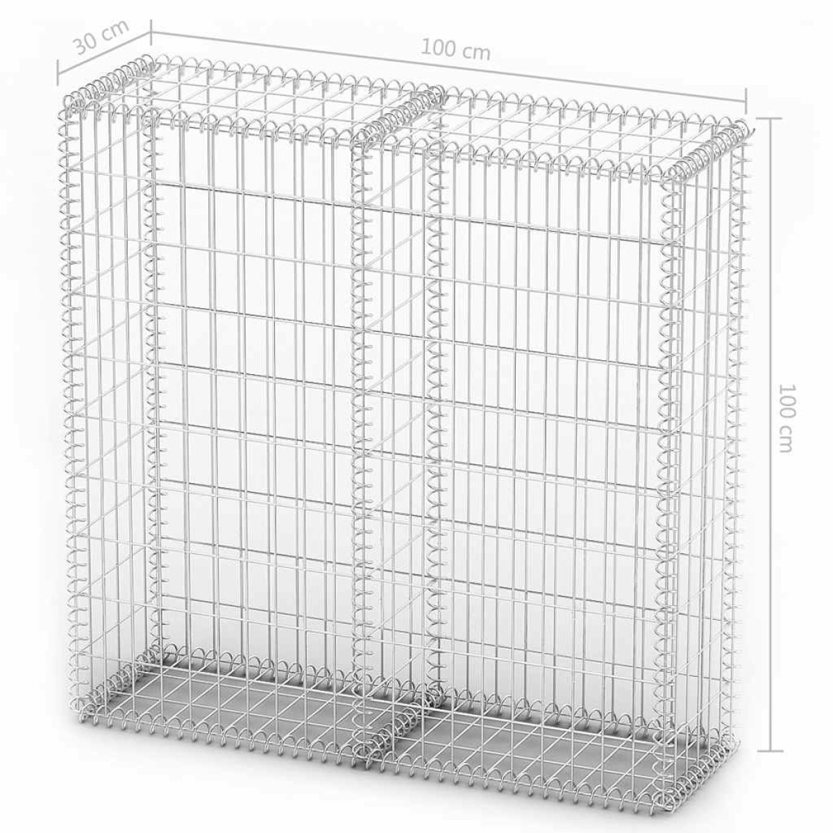vidaXL Συρματοκιβώτιο 100 x 100 x 30 εκ. Γαλβανισμένο Σύρμα με Καπάκια