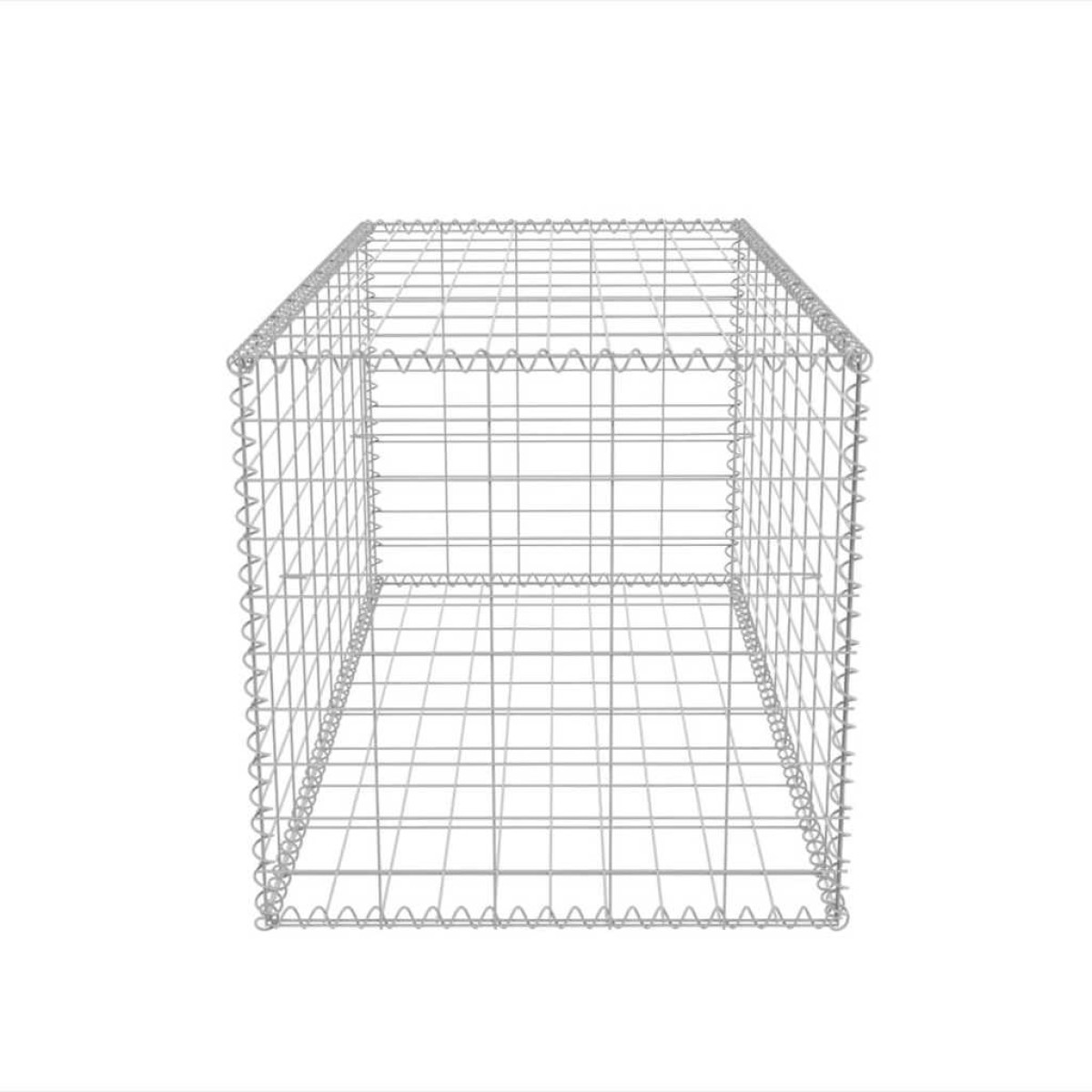 vidaXL Συρματοκιβώτιο 100 x 50 x 50 εκ. από Γαλβανισμένο Χάλυβα