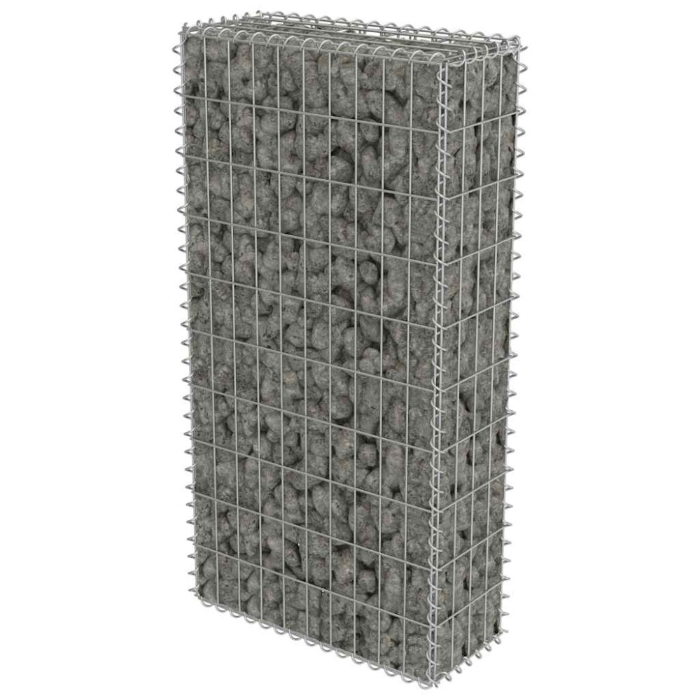 vidaXL Συρματοκιβώτιο Τοίχος 50x20x100 εκ. Γαλβαν.Χάλυβας + Καλύμματα