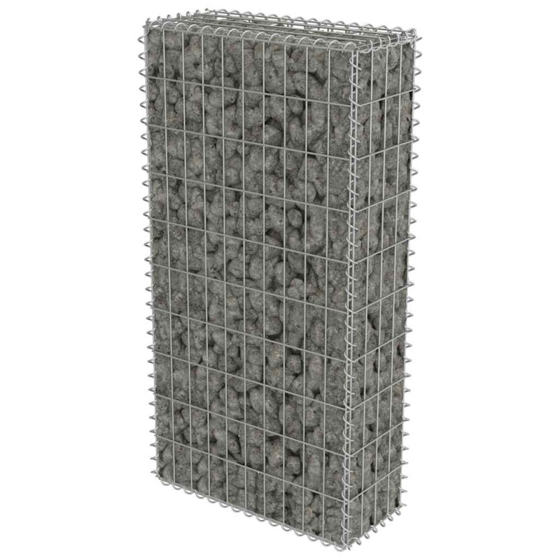 vidaXL Συρματοκιβώτιο Τοίχος 50x20x100 εκ. Γαλβαν.Χάλυβας + Καλύμματα