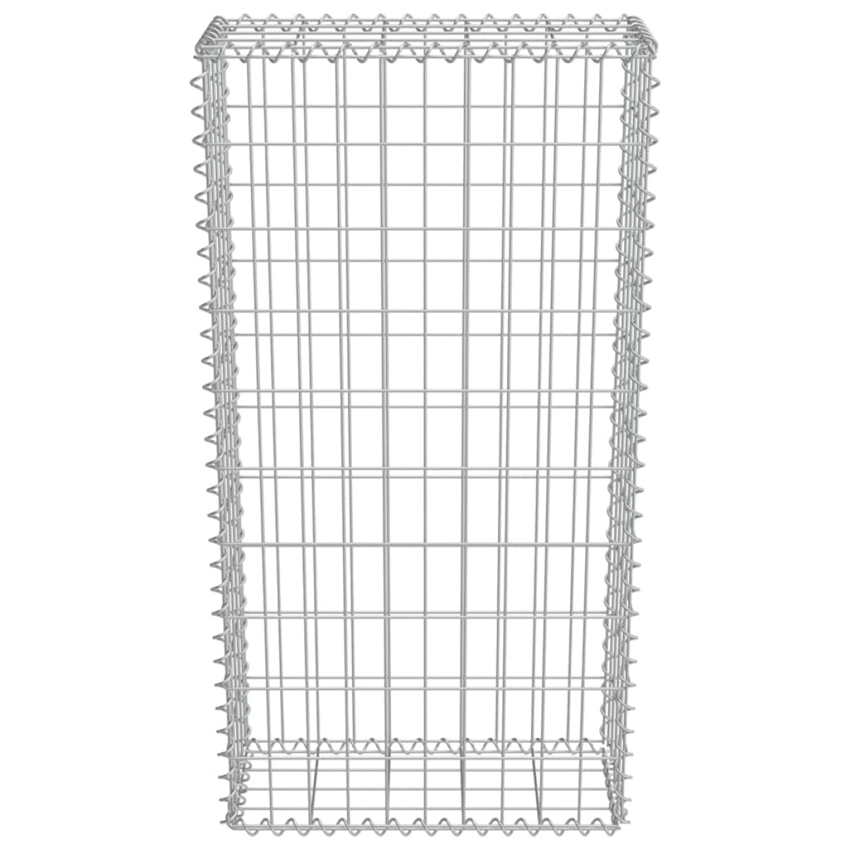 vidaXL Συρματοκιβώτιο Τοίχος 50x20x100 εκ. Γαλβαν.Χάλυβας + Καλύμματα