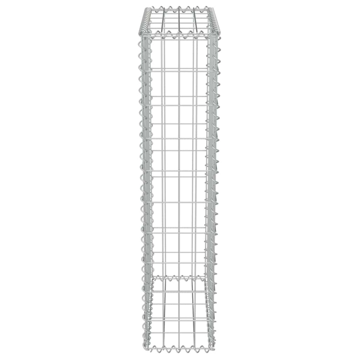 vidaXL Συρματοκιβώτιο Τοίχος 50x20x100 εκ. Γαλβαν.Χάλυβας + Καλύμματα