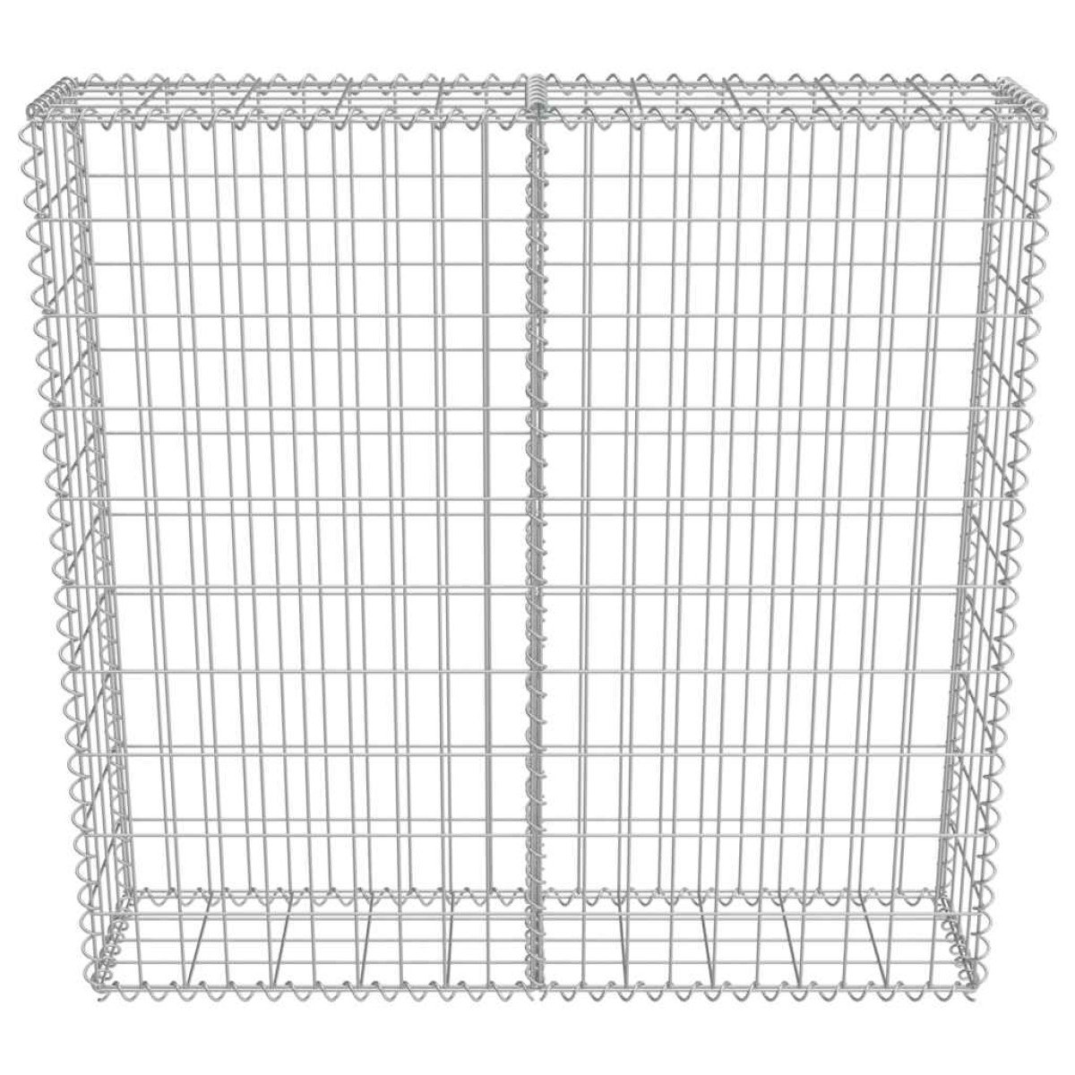 vidaXL Συρματοκιβώτιο Τοίχος 100x20x100 εκ. Γαλβαν.Χάλυβας + Καλύμματα