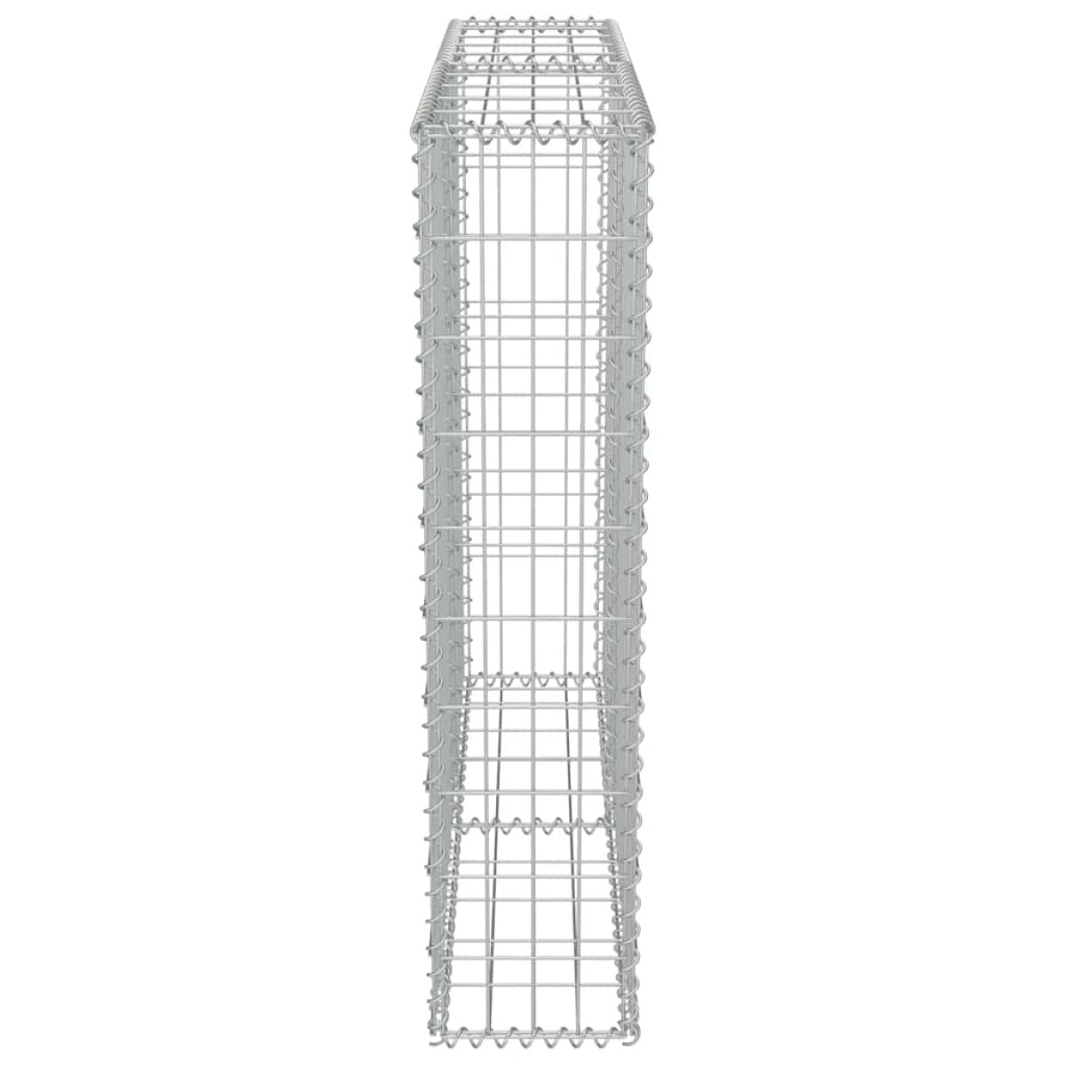 vidaXL Συρματοκιβώτιο Τοίχος 100x20x100 εκ. Γαλβαν.Χάλυβας + Καλύμματα