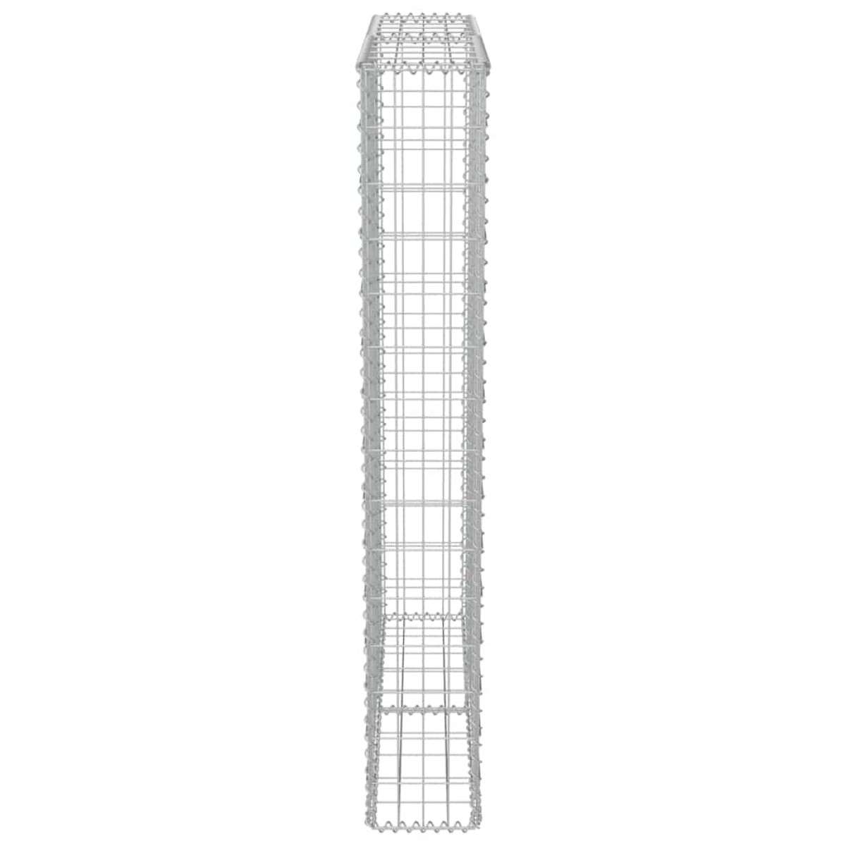 vidaXL Συρματοκιβώτιο Τοίχος 100x20x150 εκ. Γαλβαν.Χάλυβας + Καλύμματα