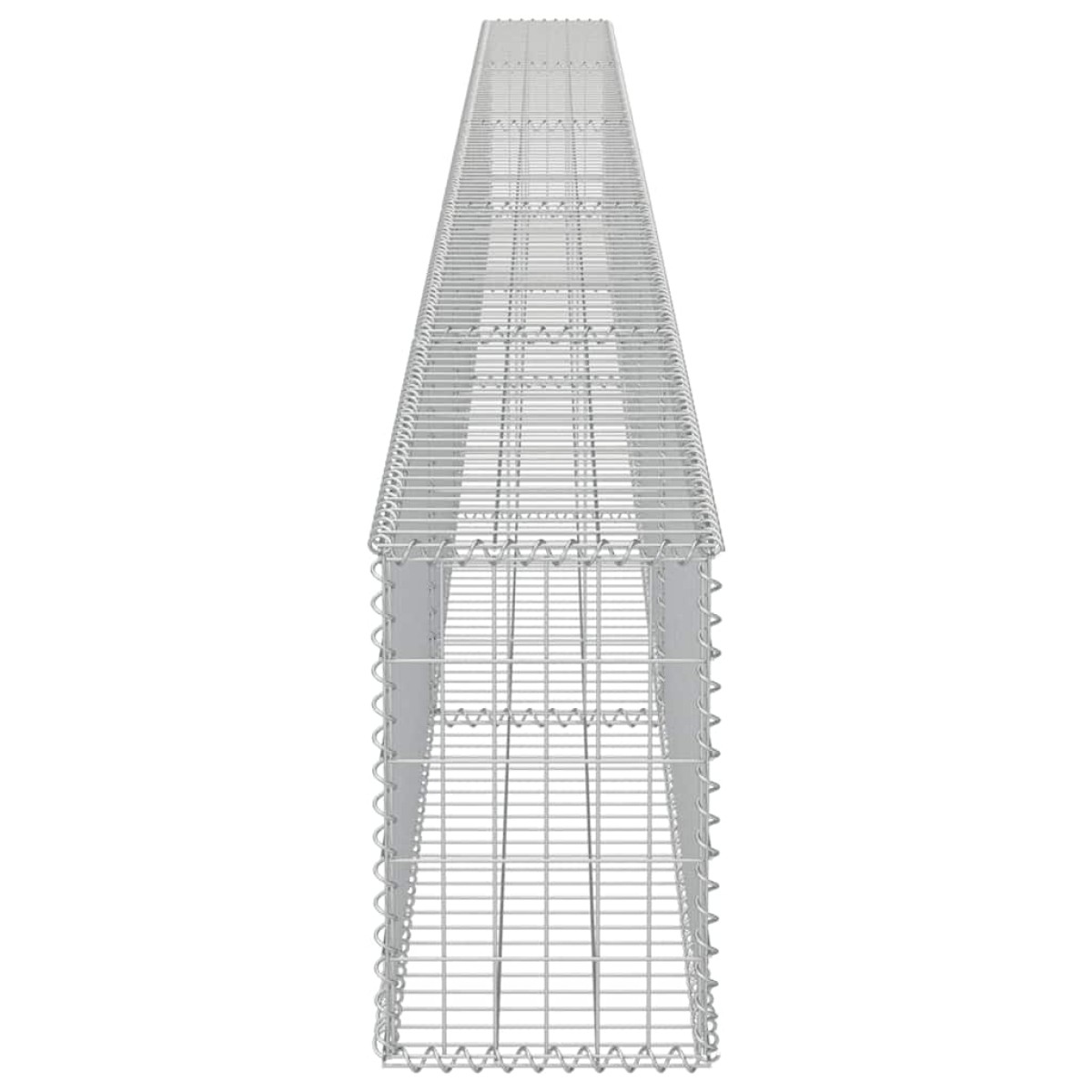 vidaXL Συρματοκιβώτιο Τοίχος 600x30x50 εκ. Γαλβαν.Χάλυβας + Καλύμματα