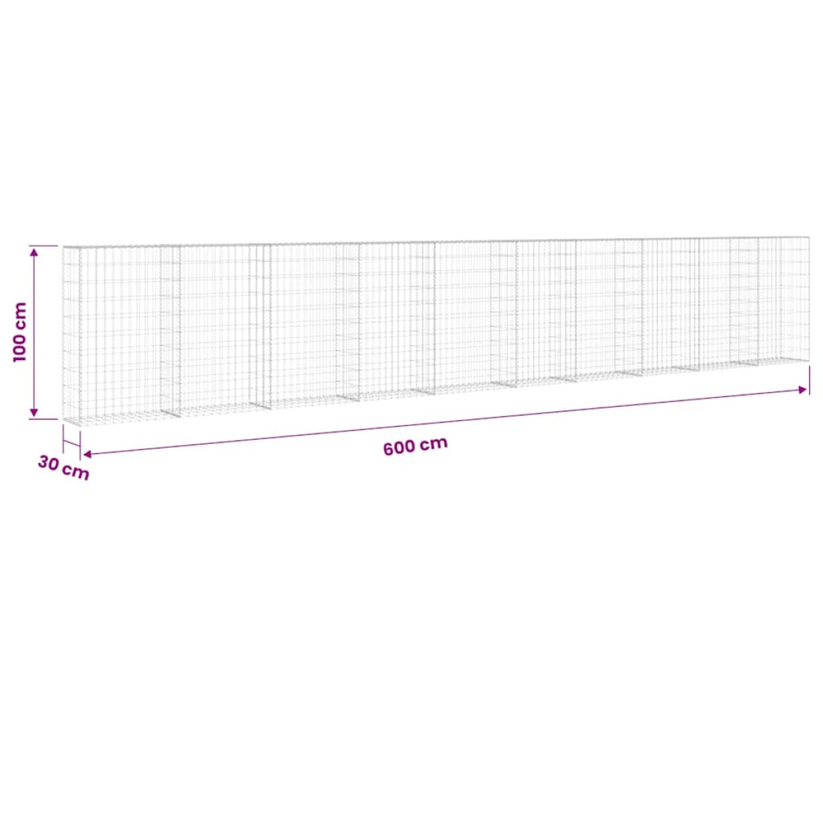 vidaXL Συρματοκιβώτιο Τοίχος 600x30x100 εκ. Γαλβαν.Χάλυβας + Καλύμματα