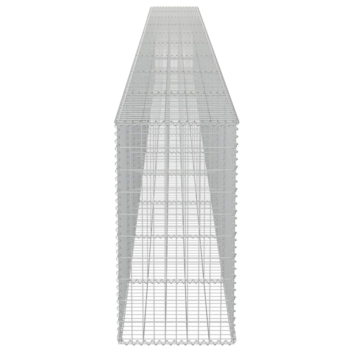 vidaXL Συρματοκιβώτιο Τοίχος 900x50x100 εκ. Γαλβαν.Χάλυβας + Καλύμματα